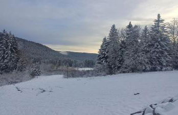 LE CHALET VOSGIEN bain nordique Kota Grill - Foto 5