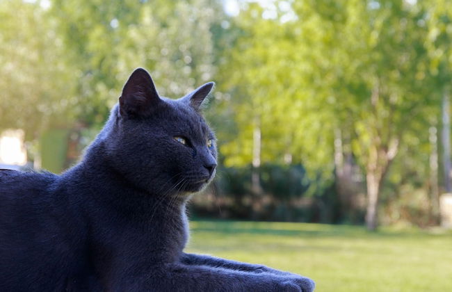 L'Antico Casale dei Sogni - Foto 46