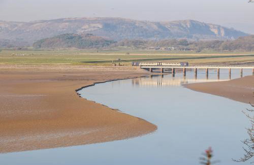 Shady Bowers - Photo 17