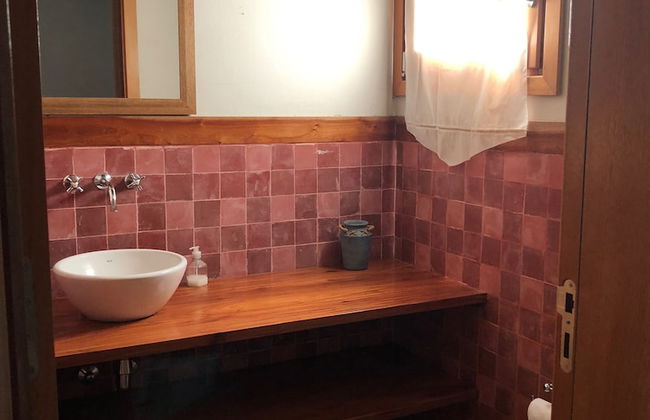 Pura Sangre Chacra - Foto 15