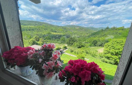 Apartment Kaštel - Foto 19