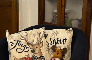 Casa Da Cicia - Foto 6