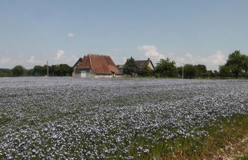 La Huberdière - Foto 41