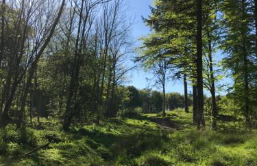 The Snug @ the Mill Inn, Stonehaven - Foto 38