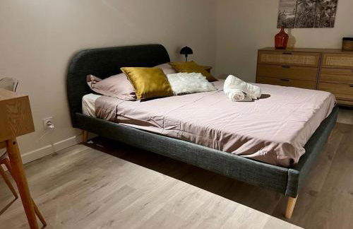 l'Apparté Saint Michel - T1bis - Métro - TRAM - Foto 20