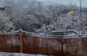 Finca Las Fuentezuelas - Foto 19