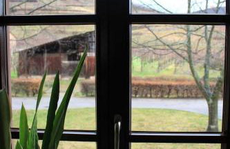 Plein Sud vue sur les Vosges et le vignoble - Foto 10