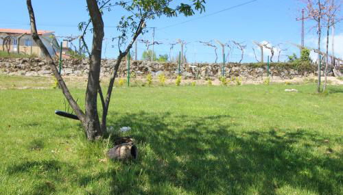 Casas do Campo da Moita - Foto 3, Garden