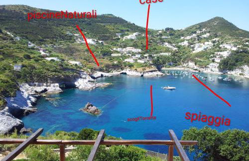 Casa Talento - Foto 33