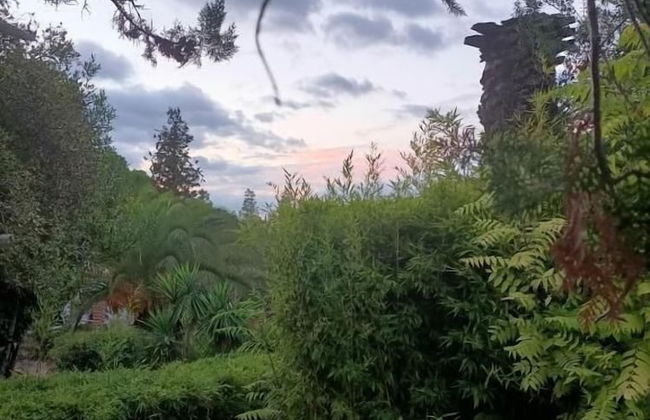 TOTTAM EXPERIENCE - Foto 70