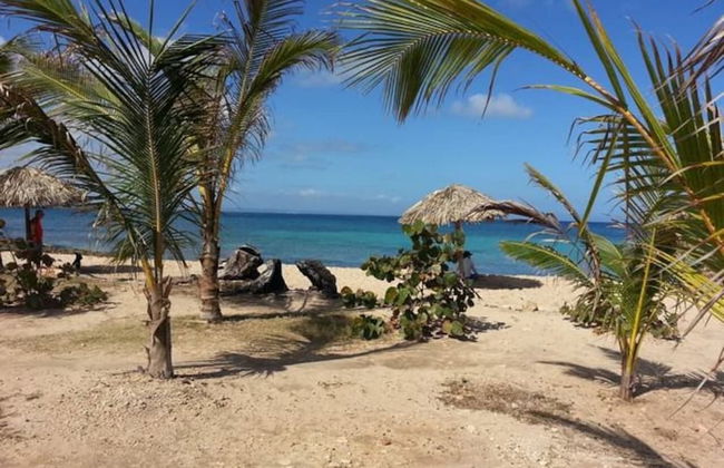 Holiday rental in Cárdenas with garden and terrace - Photo 48