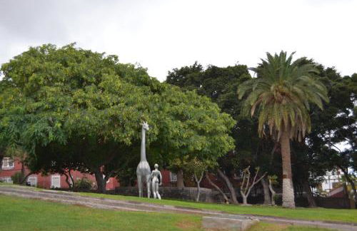 FABULOSO Penthouse LAS PALMAS - Foto 63