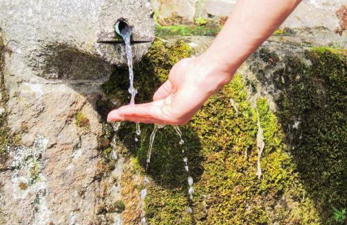 Casa de Ribeira Sacra - Foto 62