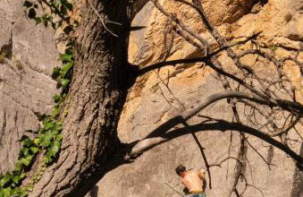 Gite de l'Ancienne Gare - Foto 24