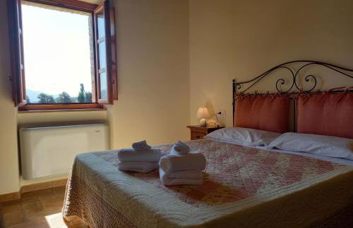 Alba su Assisi - Foto 23