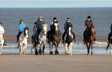 Serenity - Luxury Hot Tub, Sunnymede, Fantasy Island, Ramped Access, Parking, 2 dogs max - East Coast Holidays - Foto 47