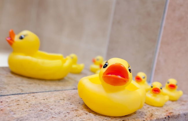 Heads Nook Hall Cottage - Foto 17