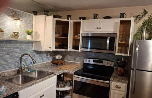 The Three Sisters - Pelican Crystal River FL - Foto 20