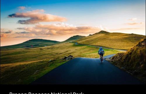 The Forager's Rest - Foto 70