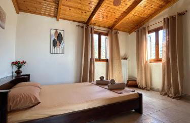 Ziras Traditional Villa - Photo 2