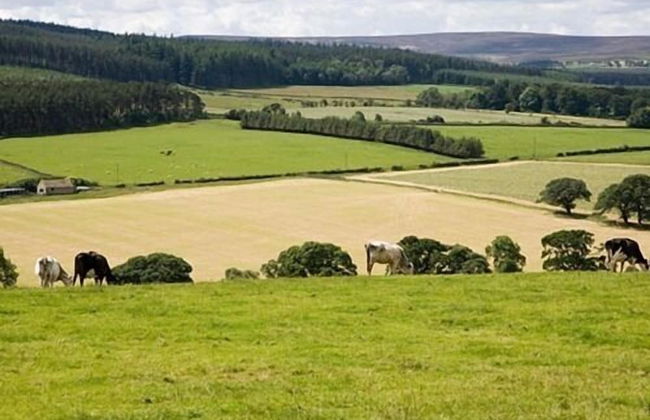 Rye Hill Farm - Foto 13