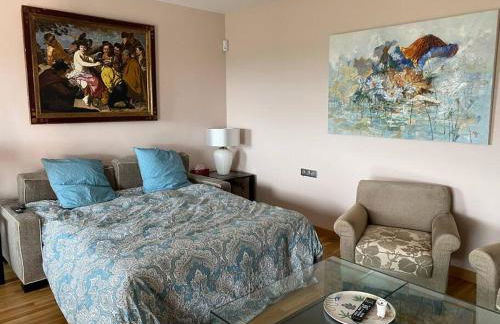 studio luxueux - Foto 10