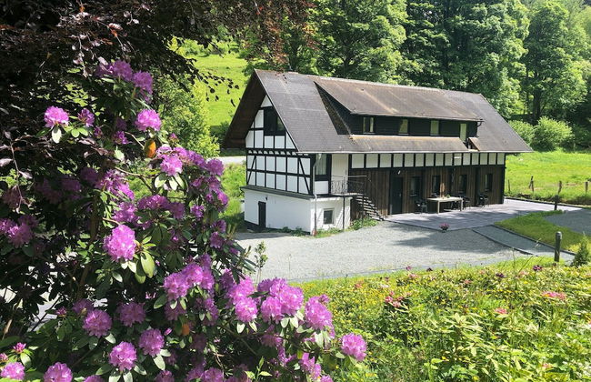 Large House in Winterberg in the Sauerland Region - Foto 65