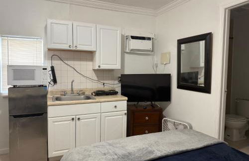 My Garden in Miami Florida - Photo 29