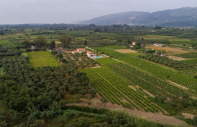 Aneli Villas - Villa Elissavet - Foto 7