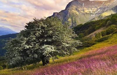 Maison en Pierre - Foto 74