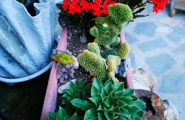 Seaside Villa Adam's Holiday House 2019 - Foto 18