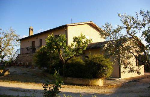 Cardinal Girolamo - Foto 79