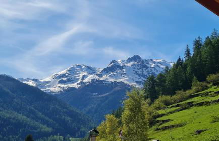 Mas del Mezdì - mountain chalet Val di Rabbi - Foto 7