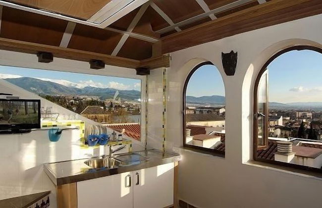 Golondrinas de la Alhambra - Foto 1