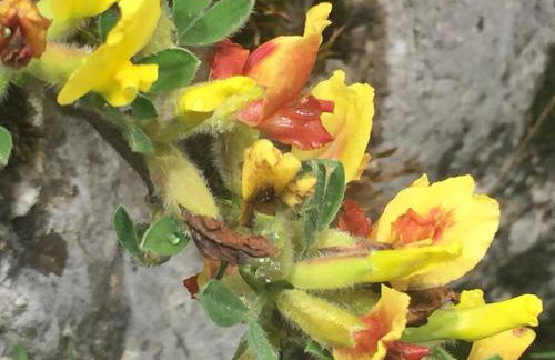 Casa Dalsass - Photo 48