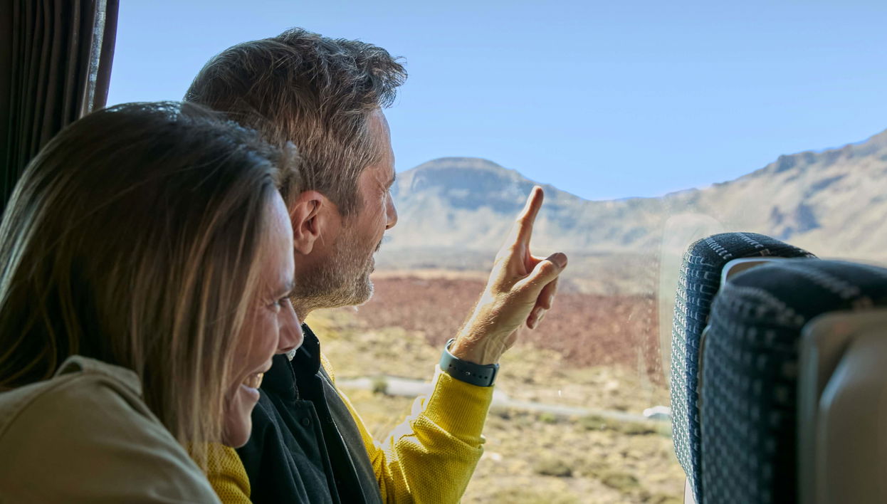 Excursión al Teide desde el sur de Tenerife