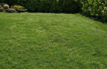 A Due Passi Dal Mare - Foto 6