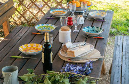 Casa RiVa - Among olive trees and the Tuscan coast - Photo 49