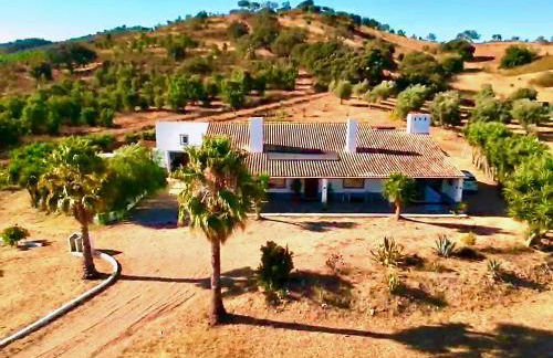 Luxe villa for 8 - Private Pool -AC -BBQ Area - Patio - 160Mbps - Olives - Palm - vineyard - Foto 7