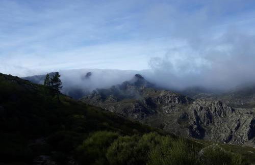 Melro-d' água - Foto 33