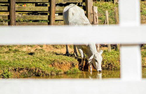 Pousada Sonho Meu - Foto 31