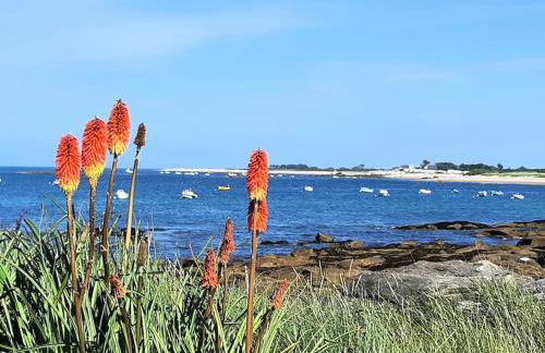 Les pieds dans l'eau - Cosqueville Vicq-mer - Foto 36