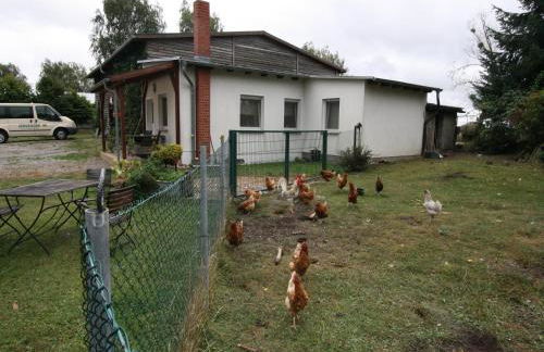 Ferienhaus, Parmen bei Feldberg - Photo 7