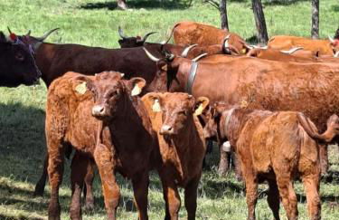 Nid cosy face à la Cathedrale - Foto 19