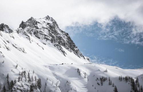 Seeberhof - Urlaub am Bauernhof - Foto 45