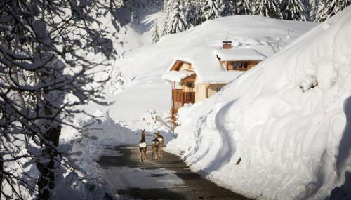 Sotciastel Antico Chalet - Foto 2