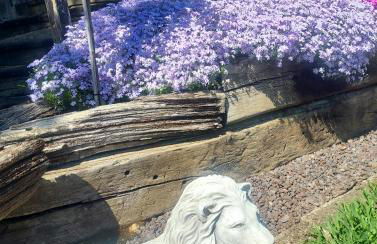 Villa Waldallee - Ferienwohnung (holidayhome) 84qm - Foto 5