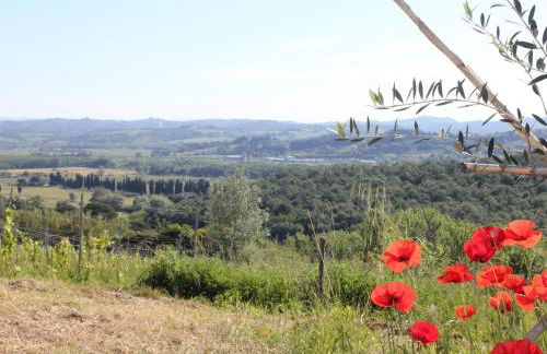 Tuscany Life - Foto 29