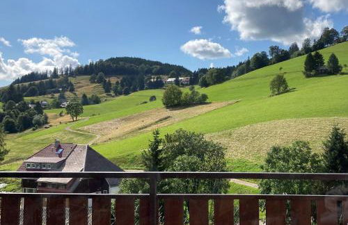 Ferienwohnung Ausklang - Todtnauberg, Feldberg - Foto 17