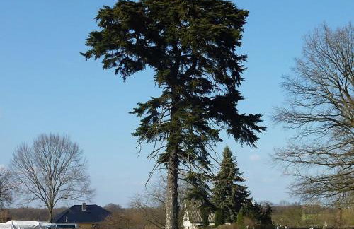 Müritzbrise 3 - Foto 14